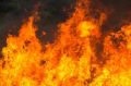 5 погибших: на Камчатке с начала года произошло 529 пожаров