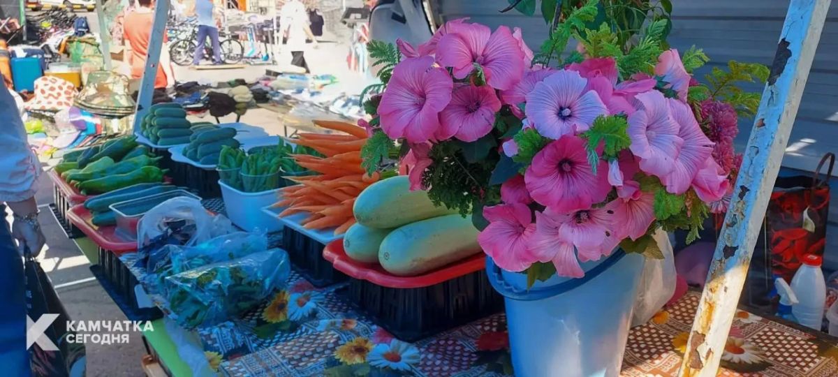 Вкусное камчатское лето. Лето одарило многих камчатских дачников и владельцев фермерских хозяйств богатыми урожаями, несмотря не перепады температур, затянувшееся «обезвоживание» и прохладные ветра Вкусное камчатское лето. Лето одарило многих камчатских дачников и владельцев фермерских хозяйств богатыми урожаями, несмотря не перепады температур, затянувшееся «обезвоживание» и прохладные ветра