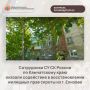 Сотрудники следственного управления СК России по Камчатскому краю оказали содействие в восстановлении жилищных прав сироты из г. Елизово
