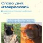 Этот понедельник начинаем с изучения нового слова — говорим о нейрослопе