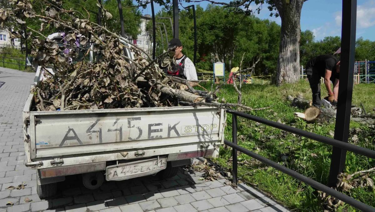 В сквере на Солнечной в Петропавловске-Камчатском убрали аварийные деревья В сквере на Солнечной в Петропавловске-Камчатском убрали аварийные деревья