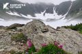 Доброе утро, Камчатка! С началом новой недели