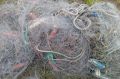 На Камчатке за полгода браконьеры нанесли ущерб природе на 15 млн рублей