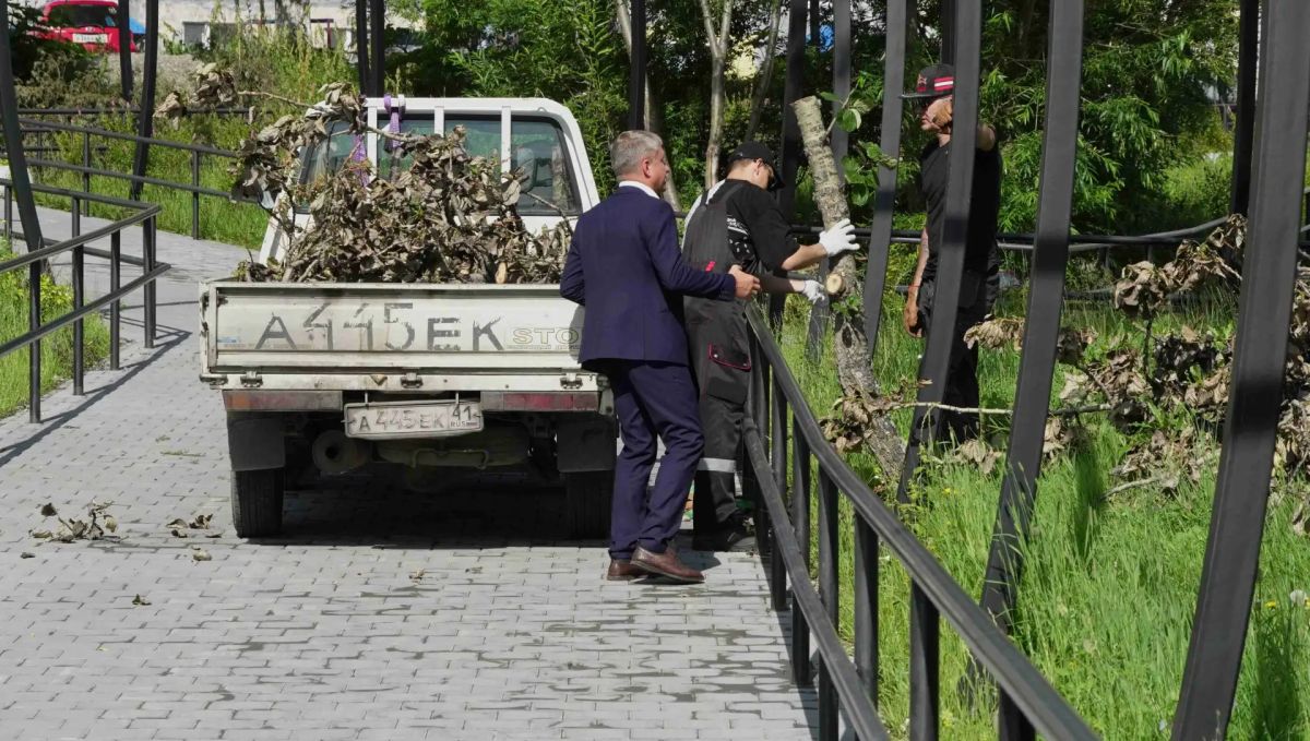 В сквере на Солнечной в Петропавловске-Камчатском убрали аварийные деревья В сквере на Солнечной в Петропавловске-Камчатском убрали аварийные деревья