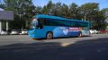 Социальные туры на термальные источники на Камчатке посетили уже более 3,5 тысяч человек