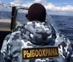 Крупную партию браконьерски добытой икры изъяли на Камчатке