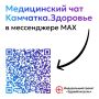 Жителям Камчатского края доступен медицинский чат Камчатка.Здоровье в мессенджере MAX