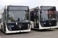 Автопарк Елизовского района обновляют: два новых НЕФАЗа уже готовы к выходу