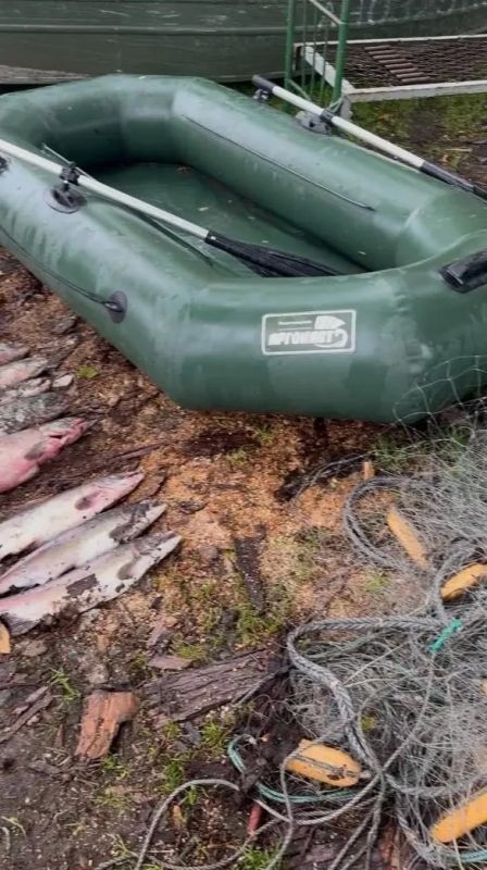 Браконьер на западе Камчатки наловил лосося и икры на 500 тысяч рублей Браконьер на западе Камчатки наловил лосося и икры на 500 тысяч рублей