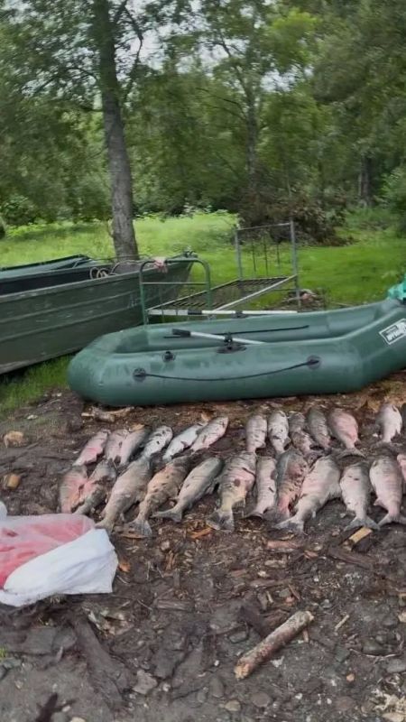Браконьер на западе Камчатки наловил лосося и икры на 500 тысяч рублей Браконьер на западе Камчатки наловил лосося и икры на 500 тысяч рублей