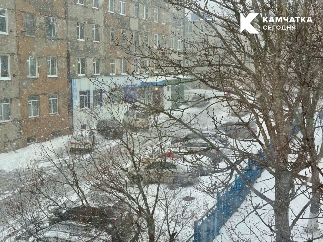 Женщина получила полмиллиона за падение на гололёде на Камчатке