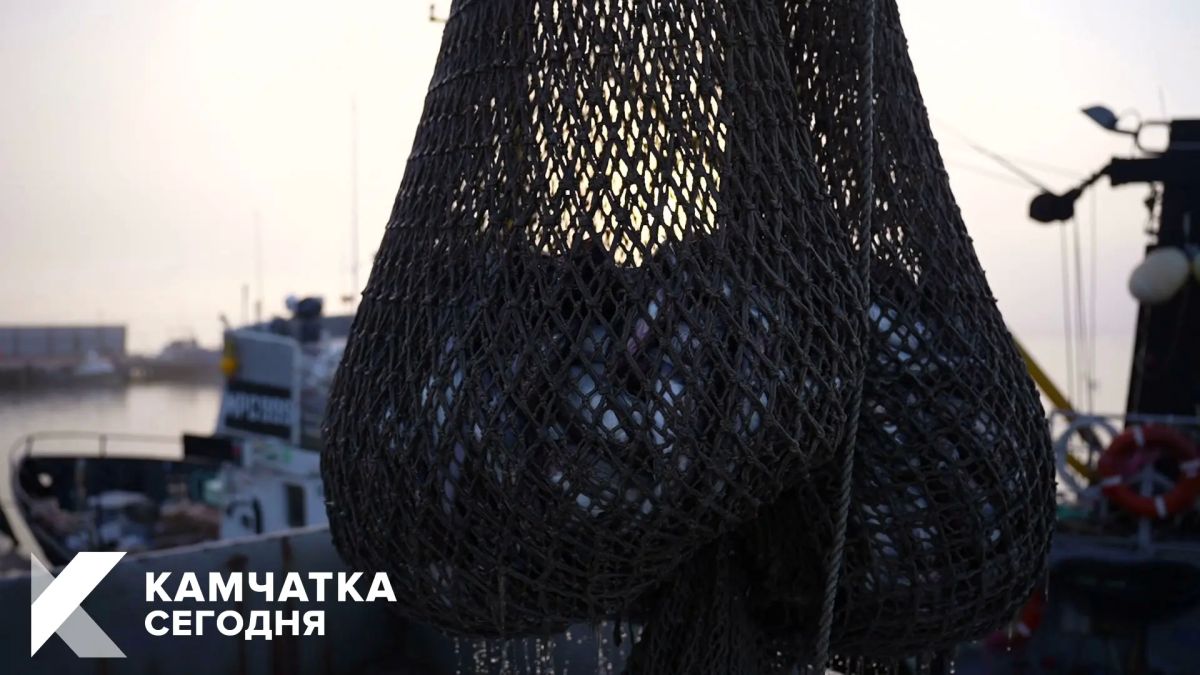 Вылов лососей на Камчатке пока не достиг даже половины прогноза