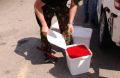 На реке Плотникова у браконьеров изъяли более 450 кг икры