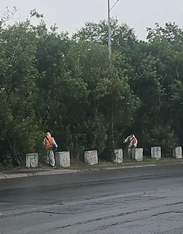 Город день за днем. 21 августа 2026 года Продолжаются работы по содержанию городских территорий В ночное время проведены работы по уборке газонов и тротуаров на ул. Пограничная и пр. 50 лет Октября Город день за днем. 21 августа 2026 года Продолжаются работы по содержанию городских территорий В ночное время проведены работы по уборке газонов и тротуаров на ул. Пограничная и пр. 50 лет Октября