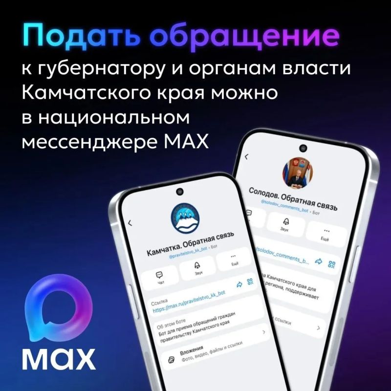 Жители Камчатского края могут подать обращение губернатору Владимиру Солодову и органам исполнительной власти региона через национальный мессенджер MAX