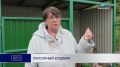 МУСОРНЫЙ КОШМАР. Контейнерную площадку на улице Седова в Петропавловске официально зарегистрировали, но пользоваться ею невозможно