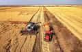 Росстандарт утвердил ГОСТ на рис