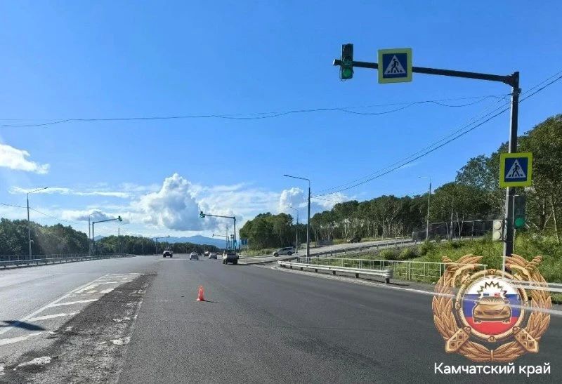 На Камчатке скончалась сбитая на пешеходном переходе женщина