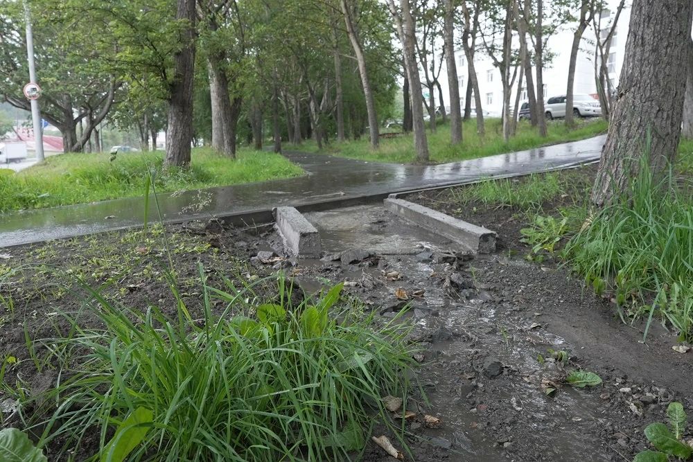 На Кроноцкой в Петропавловске-Камчатском будут улучшать ливневую систему На Кроноцкой в Петропавловске-Камчатском будут улучшать ливневую систему