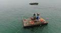 ������� ������������ ������������ �� ��������� ���������� ���������� ����� �� ��������� ����� �����