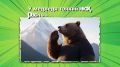Наслаждайтесь безопасно красотой Камчатки! Соблюдайте правила! Будет все в порядке!