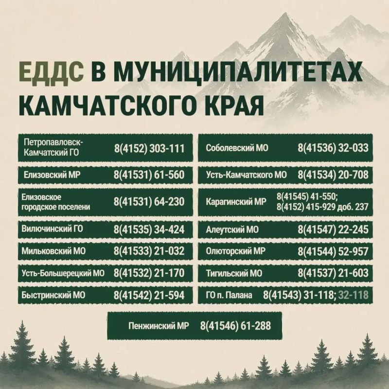 Если вы заметили медведей в населённых пунктах или рядом с жилыми массивами, соблюдайте правила безопасности: Если вы заметили медведей в населённых пунктах или рядом с жилыми массивами, соблюдайте правила безопасности: