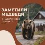 Если вы заметили медведя в населённом пункте или вблизи жилых массивов, соблюдайте правила безопасности: