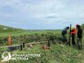 Камчатцам предлагают отправиться на остров Беринга в числе волонтеров