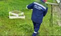 �� ����������� �������������� ����� ���������� �������� ����� �����