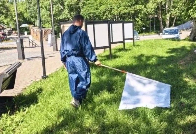 На улицах Петропавловска ищут клещей