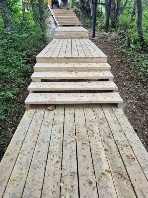 На Камчатке проложили тропу к редкому растению На Камчатке проложили тропу к редкому растению