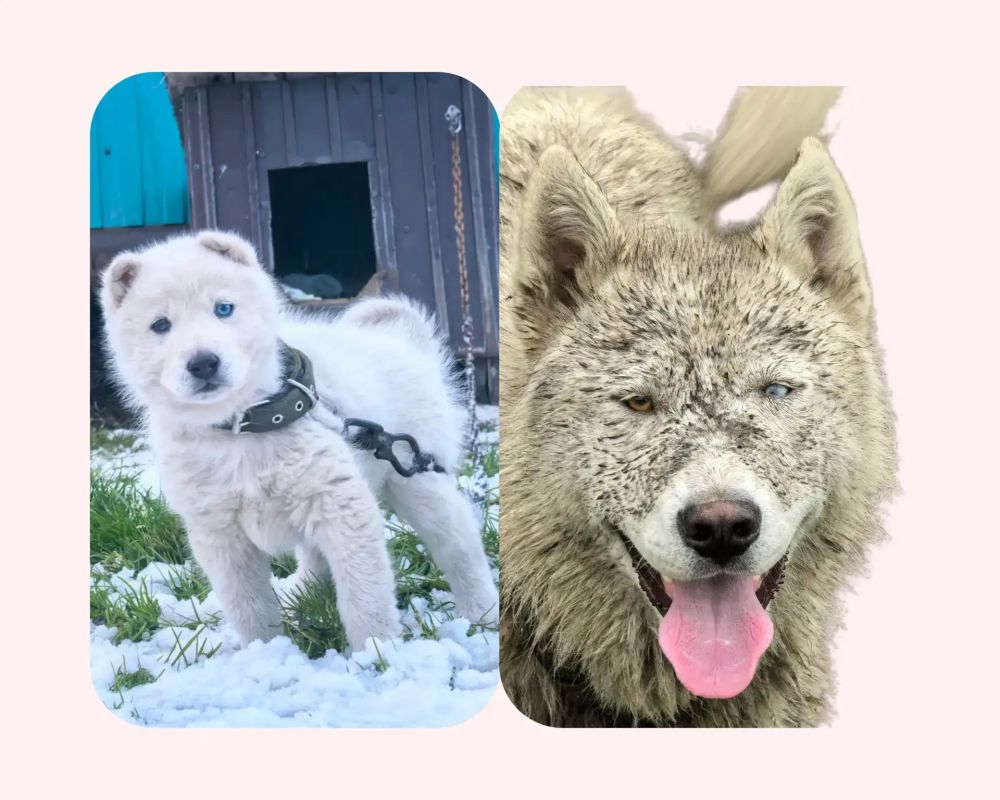 А ВОТ И НАШИ ИМЕНИННИКИ! ЧАСТЬ 2 А ВОТ И НАШИ ИМЕНИННИКИ! ЧАСТЬ 2