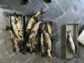 На Камчатке сотрудниками транспортной полиции пресечен незаконный вылов водных биоресурсов