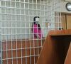 Отсрочка не помогла: женщина снова попалась на наркотиках