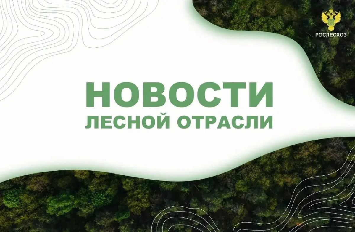 Мой Алтай: Российская делегация на форуме АТЭС обсудила устойчивое лесопользование