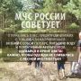 В сезон сбора дикоросов необходимо соблюдать меры безопасности при выходе в лес! Один из полезных советов — в нашей традиционной рубрике #советмчс
