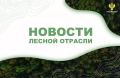 Мой Алтай: Российская делегация на форуме АТЭС обсудила устойчивое лесопользование