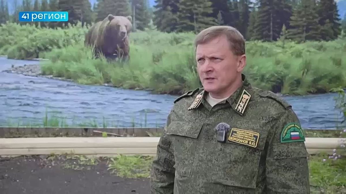 В людоедстве ложно обвинили медведя на Камчатке после обнаружения тела рыбака