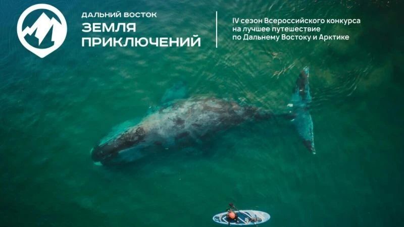 На конкурс «Дальний Восток – Земля приключений» подали 37 фильмов о Камчатке