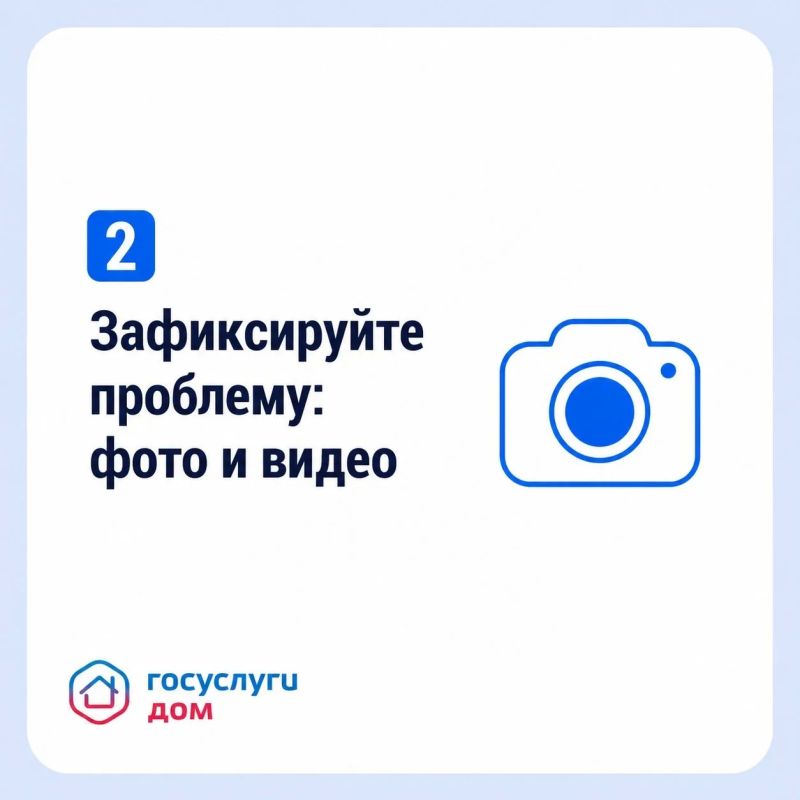 Что делать, если в квартире появилась плесень? Что делать, если в квартире появилась плесень?