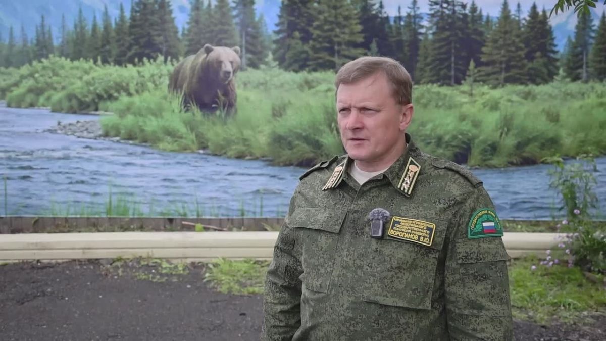 В Минлесохоты опровергли сообщения о «медведях-людоедах»