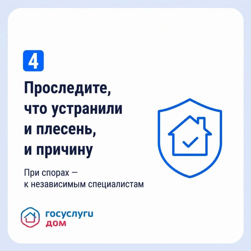 Что делать, если в квартире появилась плесень? Что делать, если в квартире появилась плесень?