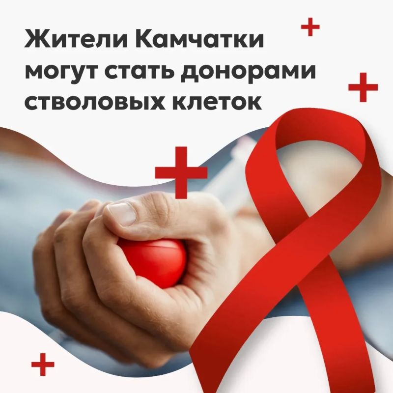 На Камчатке растёт Федеральный регистр доноров костного мозга