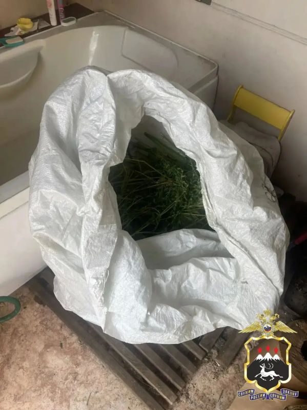 На Камчатке полиция изъяла у дачника более 2,2 кг конопли На Камчатке полиция изъяла у дачника более 2,2 кг конопли