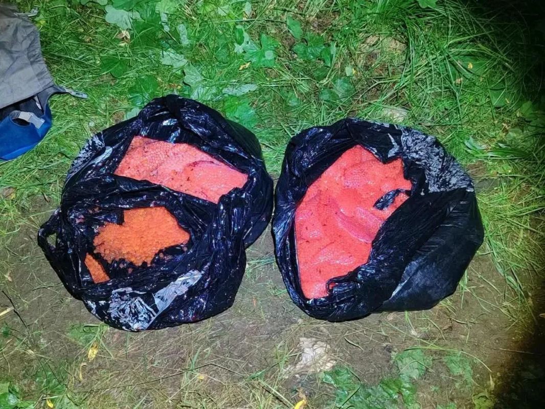 Партия икры и незаконный улов могут обернуться для камчатцев уголовным сроком Партия икры и незаконный улов могут обернуться для камчатцев уголовным сроком