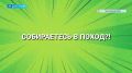 Проект «Мишкины правила» завершился на Камчатке