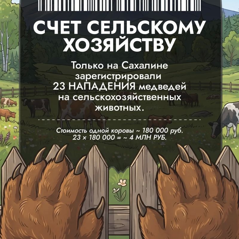 Сколько стоит конфликт с медведем? Сколько стоит конфликт с медведем?