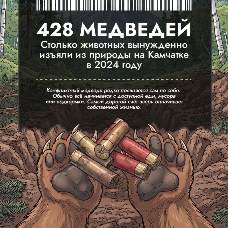 Сколько стоит конфликт с медведем? Сколько стоит конфликт с медведем?