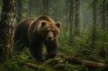 На Камчатке медведь атаковал двух мужчин: один сломал ногу, пытаясь спастись