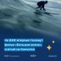 На ВЭФ состоится премьера фильма «Большая волна» — ленты, снятой на Камчатке